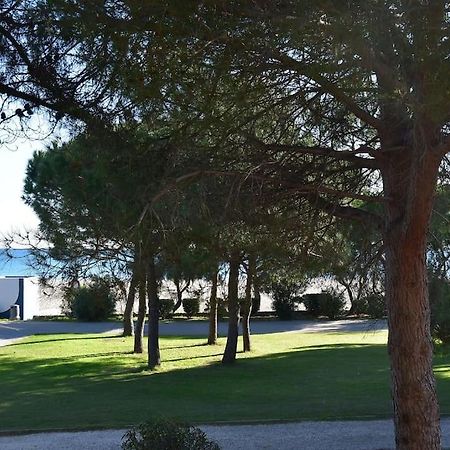 Le Byblos 9 - Vue Mer - Climatisation Plage dʼArgelès المظهر الخارجي الصورة