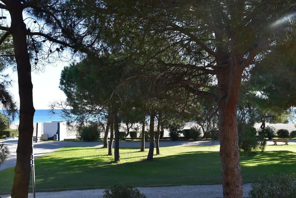 Le Byblos 9 - Vue Mer - Climatisation Plage dʼArgelès المظهر الخارجي الصورة